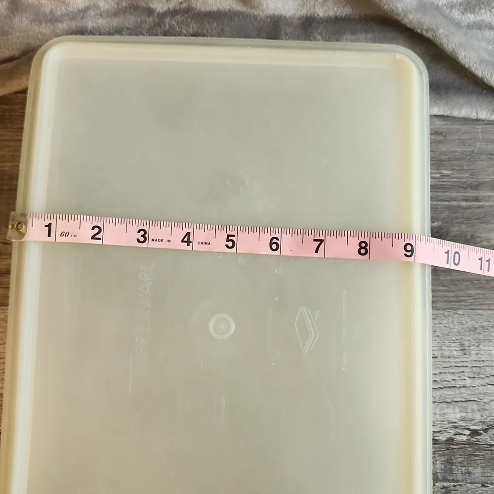 Vintage Tupperware Container